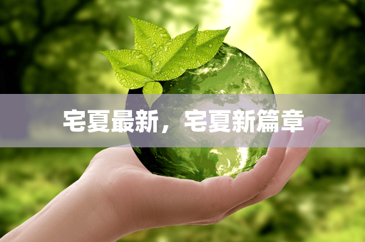 宅夏最新，宅夏新篇章