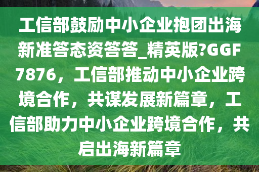 工信部鼓励中小企业抱团出海新准答态资答答_精英版?GGF7876，工信部推动中小企业跨境合作，共谋发展新篇章，工信部助力中小企业跨境合作，共启出海新篇章