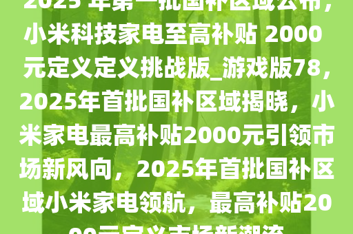 2025 年第一批国补区域公布，小米科技家电至高补贴 2000 元定义定义挑战版_游戏版78，2025年首批国补区域揭晓，小米家电最高补贴2000元引领市场新风向，2025年首批国补区域小米家电领航，最高补贴2000元定义市场新潮流