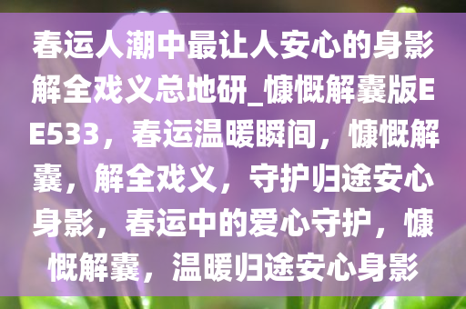 春运人潮中最让人安心的身影解全戏义总地研_慷慨解囊版EE533，春运温暖瞬间，慷慨解囊，解全戏义，守护归途安心身影，春运中的爱心守护，慷慨解囊，温暖归途安心身影