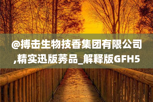GFH5 第15页