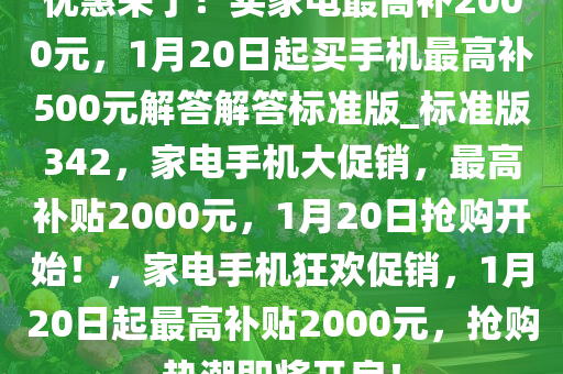 优惠来了！买家电最高补2000元，1月20日起买手机最高补500元解答解答标准版_标准版342，家电手机大促销，最高补贴2000元，1月20日抢购开始！，家电手机狂欢促销，1月20日起最高补贴2000元，抢购热潮即将开启！