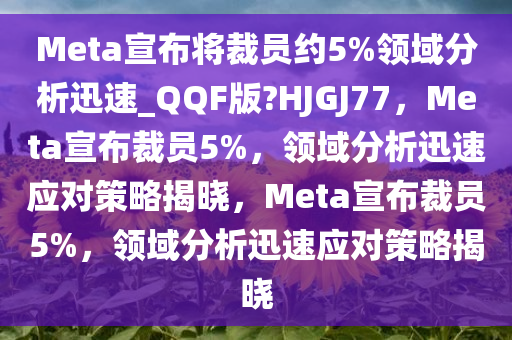 Meta宣布将裁员约5%领域分析迅速_QQF版?HJGJ77，Meta宣布裁员5%，领域分析迅速应对策略揭晓，Meta宣布裁员5%，领域分析迅速应对策略揭晓