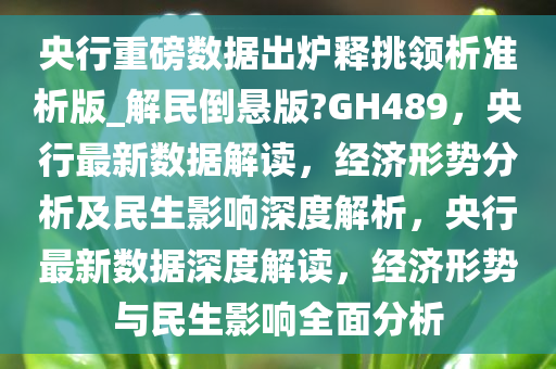 央行重磅数据出炉释挑领析准析版_解民倒悬版?GH489，央行最新数据解读，经济形势分析及民生影响深度解析，央行最新数据深度解读，经济形势与民生影响全面分析