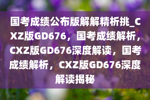 国考成绩公布版解解精析挑_CXZ版GD676，国考成绩解析，CXZ版GD676深度解读，国考成绩解析，CXZ版GD676深度解读揭秘