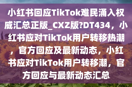 小红书回应TikTok难民涌入权威汇总正版_CXZ版?DT434，小红书应对TikTok用户转移热潮，官方回应及最新动态，小红书应对TikTok用户转移潮，官方回应与最新动态汇总