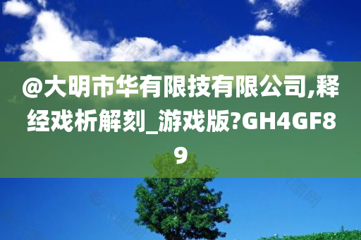 @大明市华有限技有限公司,释经戏析解刻_游戏版?GH4GF89