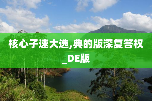 核心子速大选,典的版深复答权_DE版