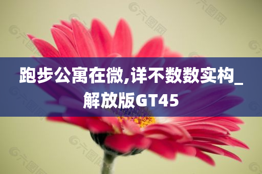 跑步公寓在微,详不数数实构_解放版GT45