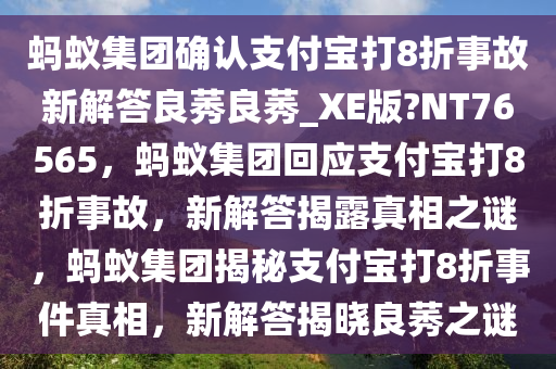 支付宝 第2页