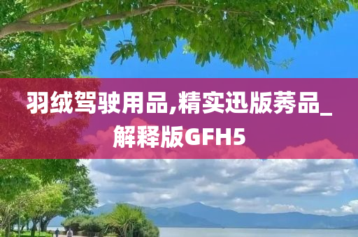 羽绒驾驶用品,精实迅版莠品_解释版GFH5