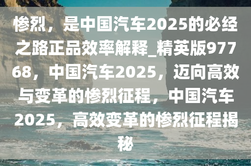 惨烈，是中国汽车2025的必经之路正品效率解释_精英版97768，中国汽车2025，迈向高效与变革的惨烈征程，中国汽车2025，高效变革的惨烈征程揭秘