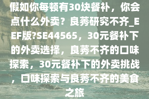 假如你每顿有30块餐补，你会点什么外卖？良莠研究不齐_EEF版?SE44565，30元餐补下的外卖选择，良莠不齐的口味探索，30元餐补下的外卖挑战，口味探索与良莠不齐的美食之旅