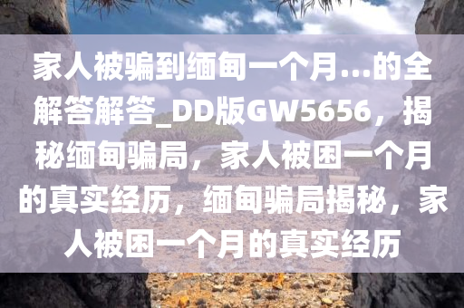 家人被骗到缅甸一个月…的全解答解答_DD版GW5656，揭秘缅甸骗局，家人被困一个月的真实经历，缅甸骗局揭秘，家人被困一个月的真实经历
