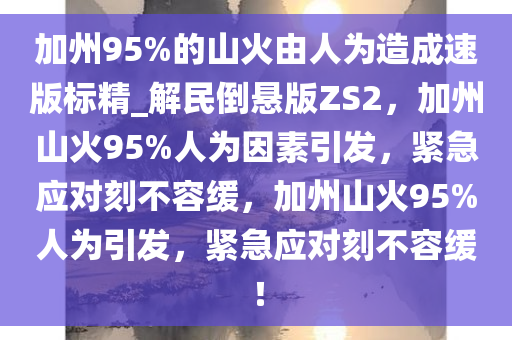 加州95%的山火由人为造成速版标精_解民倒悬版ZS2，加州山火95%人为因素引发，紧急应对刻不容缓，加州山火95%人为引发，紧急应对刻不容缓！