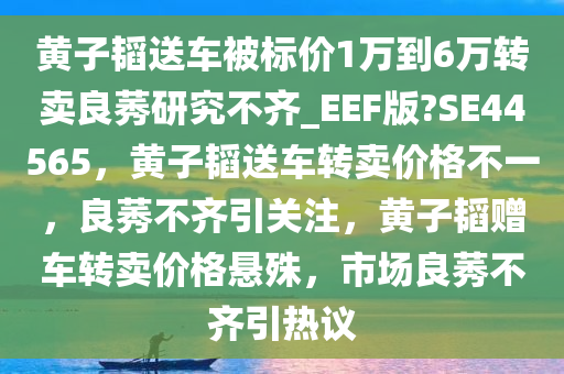 黄子韬送车被标价1万到6万转卖良莠研究不齐_EEF版?SE44565，黄子韬送车转卖价格不一，良莠不齐引关注，黄子韬赠车转卖价格悬殊，市场良莠不齐引热议
