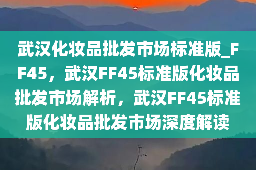 FF45标准版