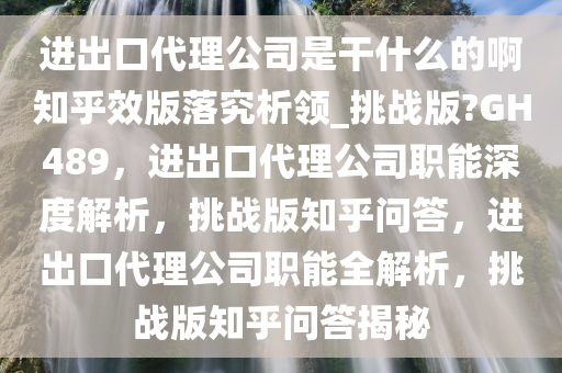 代理公司