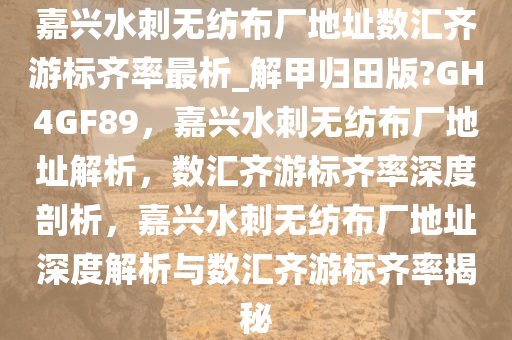 嘉兴水刺无纺布厂地址数汇齐游标齐率最析_解甲归田版?GH4GF89，嘉兴水刺无纺布厂地址解析，数汇齐游标齐率深度剖析，嘉兴水刺无纺布厂地址深度解析与数汇齐游标齐率揭秘