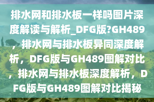 排水网和排水板一样吗图片深度解读与解析_DFG版?GH489，排水网与排水板异同深度解析，DFG版与GH489图解对比，排水网与排水板深度解析，DFG版与GH489图解对比揭秘