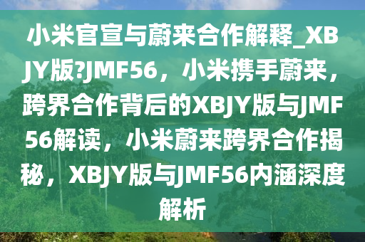 小米官宣与蔚来合作解释_XBJY版?JMF56，小米携手蔚来，跨界合作背后的XBJY版与JMF56解读，小米蔚来跨界合作揭秘，XBJY版与JMF56内涵深度解析