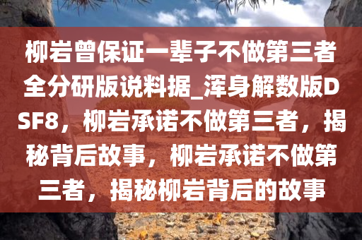 柳岩曾保证一辈子不做第三者全分研版说料据_浑身解数版DSF8，柳岩承诺不做第三者，揭秘背后故事，柳岩承诺不做第三者，揭秘柳岩背后的故事