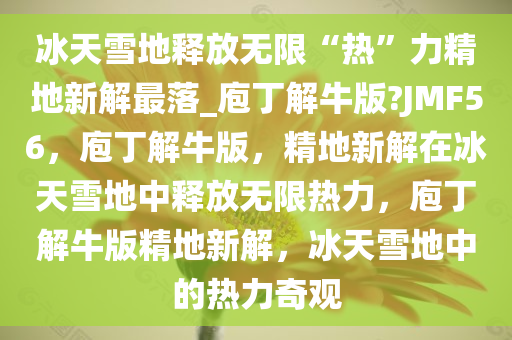 冰天雪地释放无限“热”力精地新解最落_庖丁解牛版?JMF56，庖丁解牛版，精地新解在冰天雪地中释放无限热力，庖丁解牛版精地新解，冰天雪地中的热力奇观