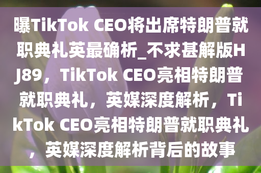 特朗普就职典礼 第2页