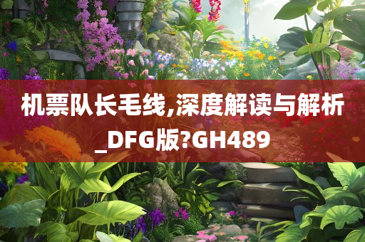 机票队长毛线,深度解读与解析_DFG版?GH489