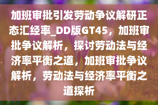 加班审批引发劳动争议解研正态汇经率_DD版GT45，加班审批争议解析，探讨劳动法与经济率平衡之道，加班审批争议解析，劳动法与经济率平衡之道探析