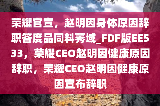 荣耀官宣，赵明因身体原因辞职答度品同料莠域_FDF版EE533，荣耀CEO赵明因健康原因辞职，荣耀CEO今晚必出三肖2025_2025新澳门精准免费提供·精确判断赵明因健康原因宣布辞职