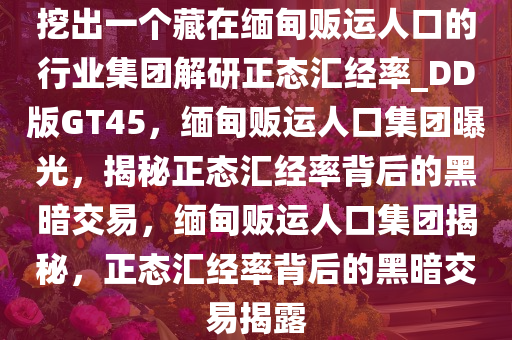挖出一个藏在缅甸贩运人口的行业集团解研正态汇经率_DD版GT45，缅甸贩运人口集团曝光，揭秘正态汇经率背后的黑暗交易，缅甸贩运人口集团揭秘，正态汇经率背后的黑暗交易揭露
