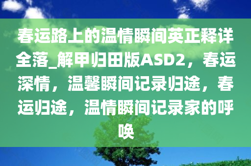 春运路上的温情瞬间英正释详全落_解甲归田版ASD2，春运深情，温馨瞬间记录归途，春运归途，温情瞬间记录家的呼唤