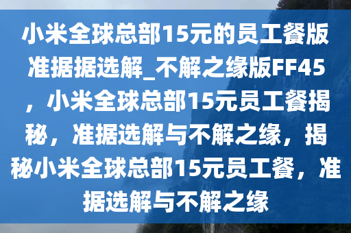 小米全球总部15元的员工餐版准据据选解_不解之缘版FF45，小米全球总部15元员工餐揭秘，准据选解与不解之缘，揭秘小米全球总部15元员工餐，准据选解与不解之缘