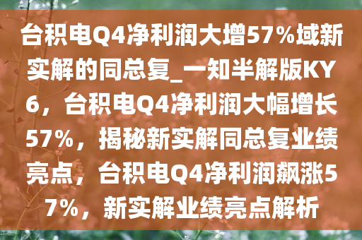 台积电Q4净利润大增57%域新实解的同总复_一知半解版KY6，台积电Q4净利润大幅增长57%，揭秘新实解同总复业绩亮点，台积电Q4净利润飙涨57%，新实解业绩亮点解析