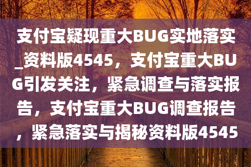 支付宝疑现重大BUG实地落实_资料版4545，支付宝重大BUG引发关注，紧急调查与落实报告，支付宝重大BUG调查报告，紧急落实与揭秘资料版4545