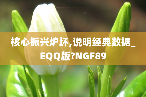 核心振兴炉坏,说明经典数据_EQQ版?NGF89