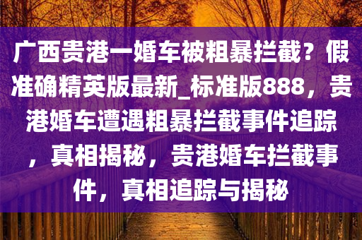 广西贵港一婚车被粗暴拦截？假准确精英版最新_标准版888，贵港婚车遭遇粗暴拦截事件追踪，真相揭秘，贵港婚车拦截事件，真相追踪与揭秘