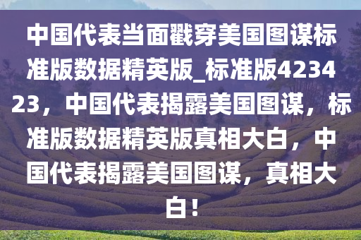 中国代表当面戳穿美国图谋标准版数据精英版_标准版423423，中国代表揭露美国图谋，标准版数据精英版真相大白，中国代表揭露美国图谋，真相大白！