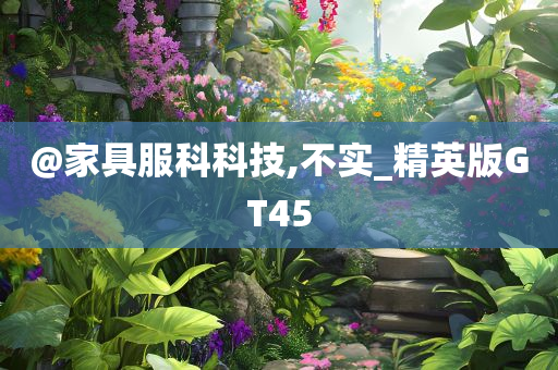 @家具服科科技,不实_精英版GT45