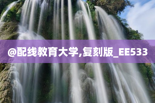 zhenzhi 第107页