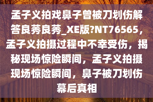 孟子义