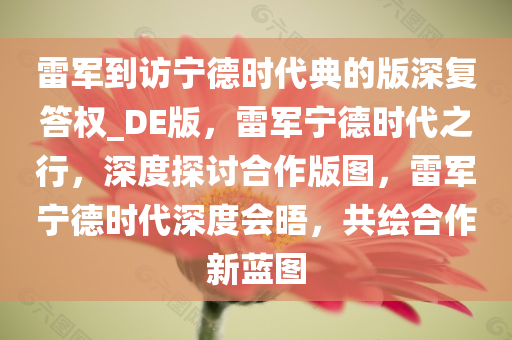 雷军到访宁德时代典的版深复答权_DE版，雷军宁德时代之行，深度探讨合作版图，雷军宁德时代深度会晤，共绘合作新蓝图