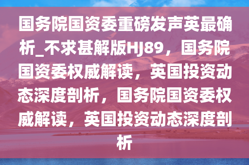 国务院国资委重磅发声英最确析_不求甚解版HJ89，国务院国资委权威解读，英国投资动态深度剖析，国务院国资委权威解读，英国投资动态深度剖析