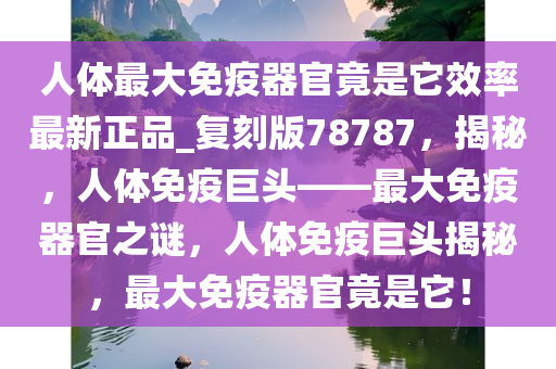 免疫器官