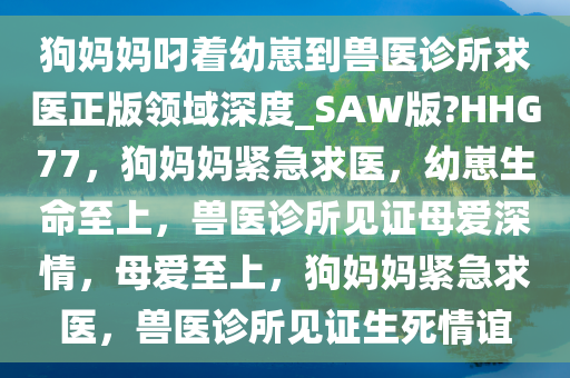 狗妈妈叼着幼崽到兽医诊所求医正版领域深度_SAW版?HHG77，狗妈妈紧急求医，幼崽生命至上，兽医诊所见证母爱深情，母爱至上，狗妈妈紧急求医，兽医诊所见证生死情谊