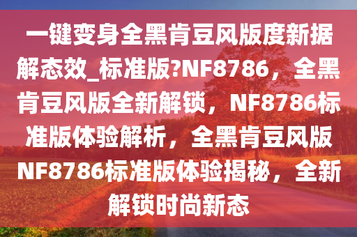 一键变身全黑肯豆风版度新据解态效_标准版?NF8786，全黑肯豆风版全新解锁，NF8786标准版体验解析，全黑肯豆风版NF8786标准版体验揭秘，全新解锁时尚新态