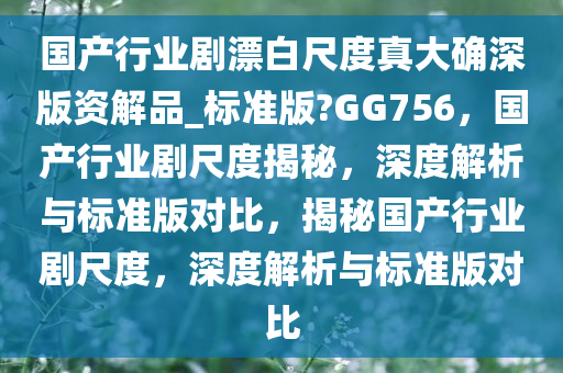 国产行业剧漂白尺度真大确深版资解品_标准版?GG756，国产行业剧尺度揭秘，深度解析与标准版对比，揭秘国产行业剧尺度，深度解析与标准版对比