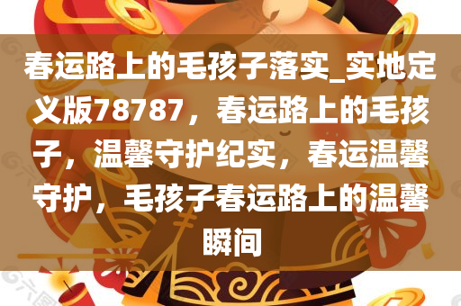 春运路上的毛孩子落实_实地定义版78787，春运路上的毛孩子，温馨守护纪实，春运温馨守护，毛孩子春运路上的温馨瞬间