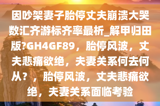 因吵架妻子胎停丈夫崩溃大哭数汇齐游标齐率最析_解甲归田版?GH4GF89，胎停风波，丈夫悲痛欲绝，夫妻关系何去何从？，胎停风波，丈夫悲痛欲绝，夫妻关系面临考验